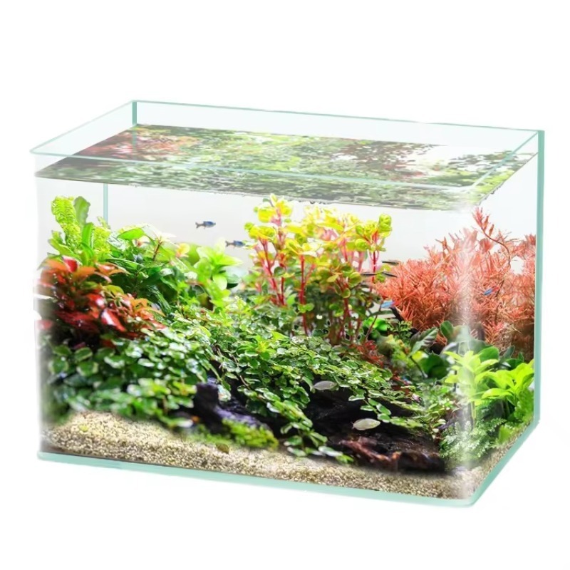 Saltwater Tank - Embalagem de caixa de aquário de