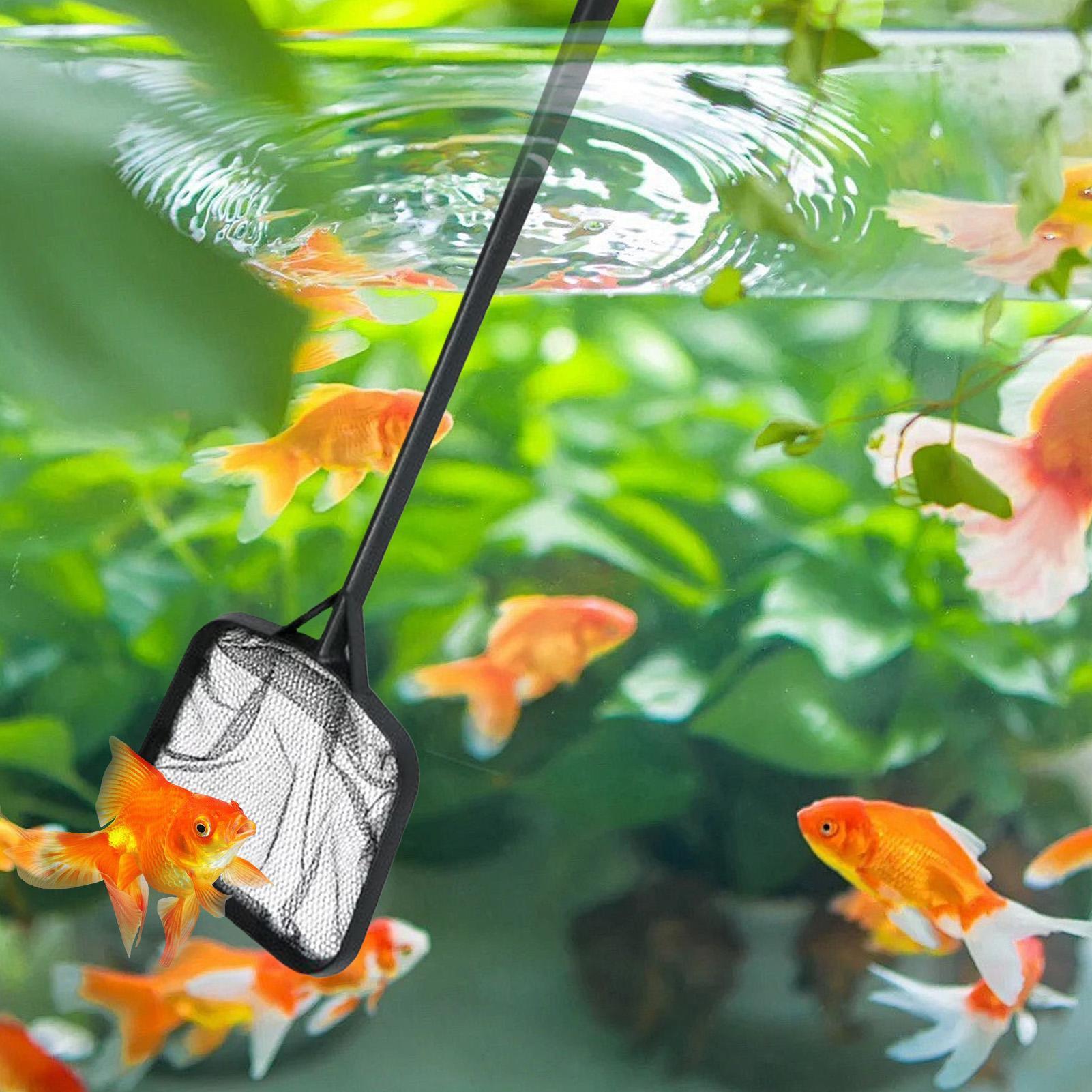 Redes para Limpeza de Piscinas - Ocean Aquarium avaliação e preço