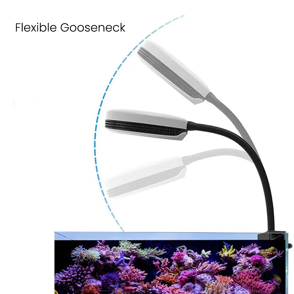 Luz LED para Aquário Spectra S - Reef Lighting avaliação e preço