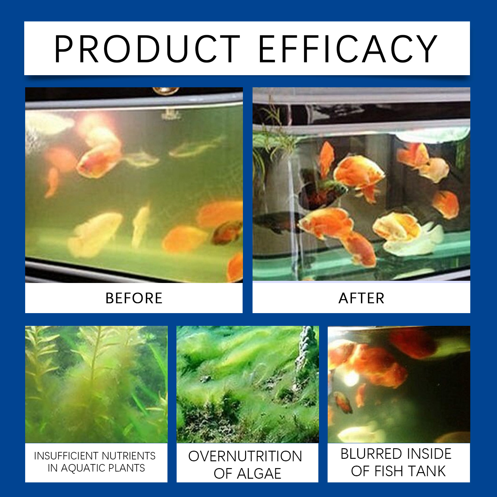 Clarificador de água para aquá - Saltwater Tank avaliação e preço