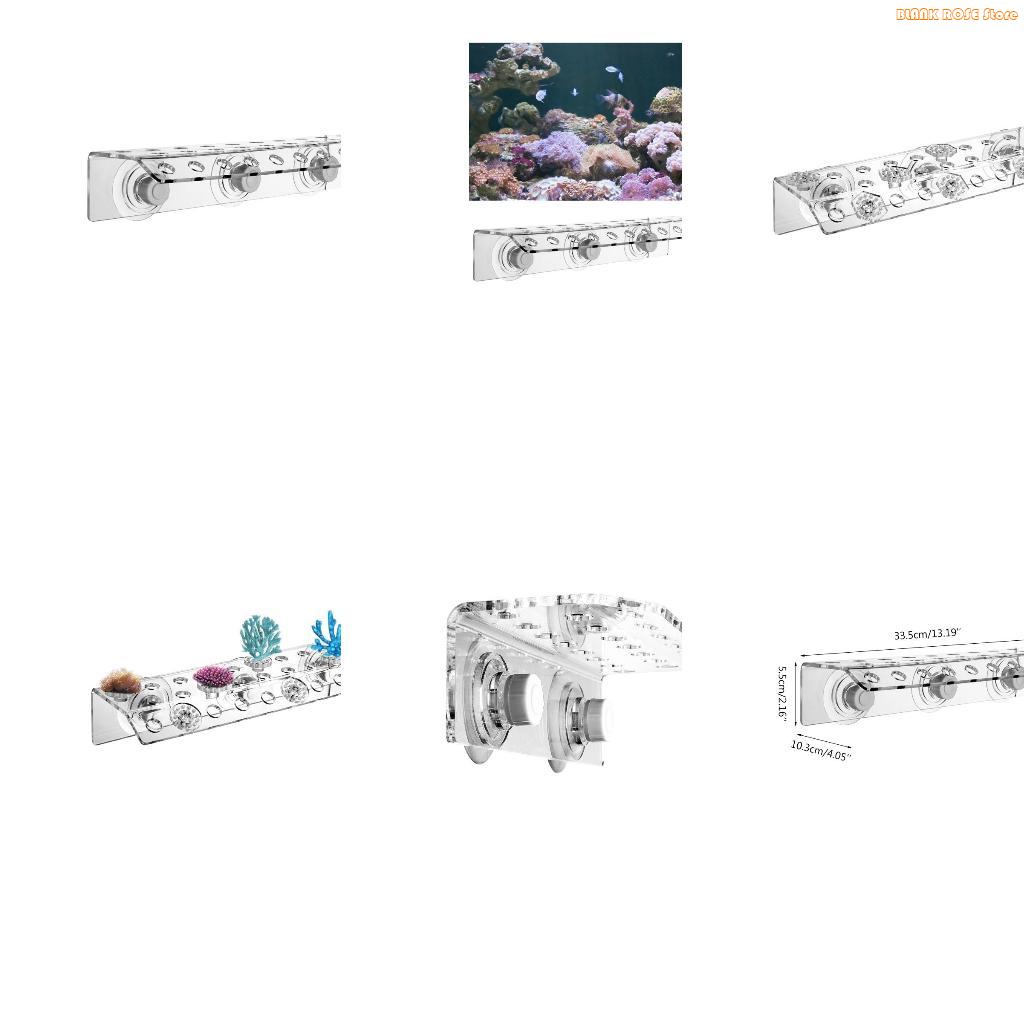 K1AE Acrílico Coral Frag Rack  - Reef Aquarium avaliação e preço