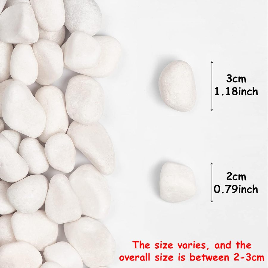 200/400g branco alto polido se - Marine Fish Tank avaliação e preço