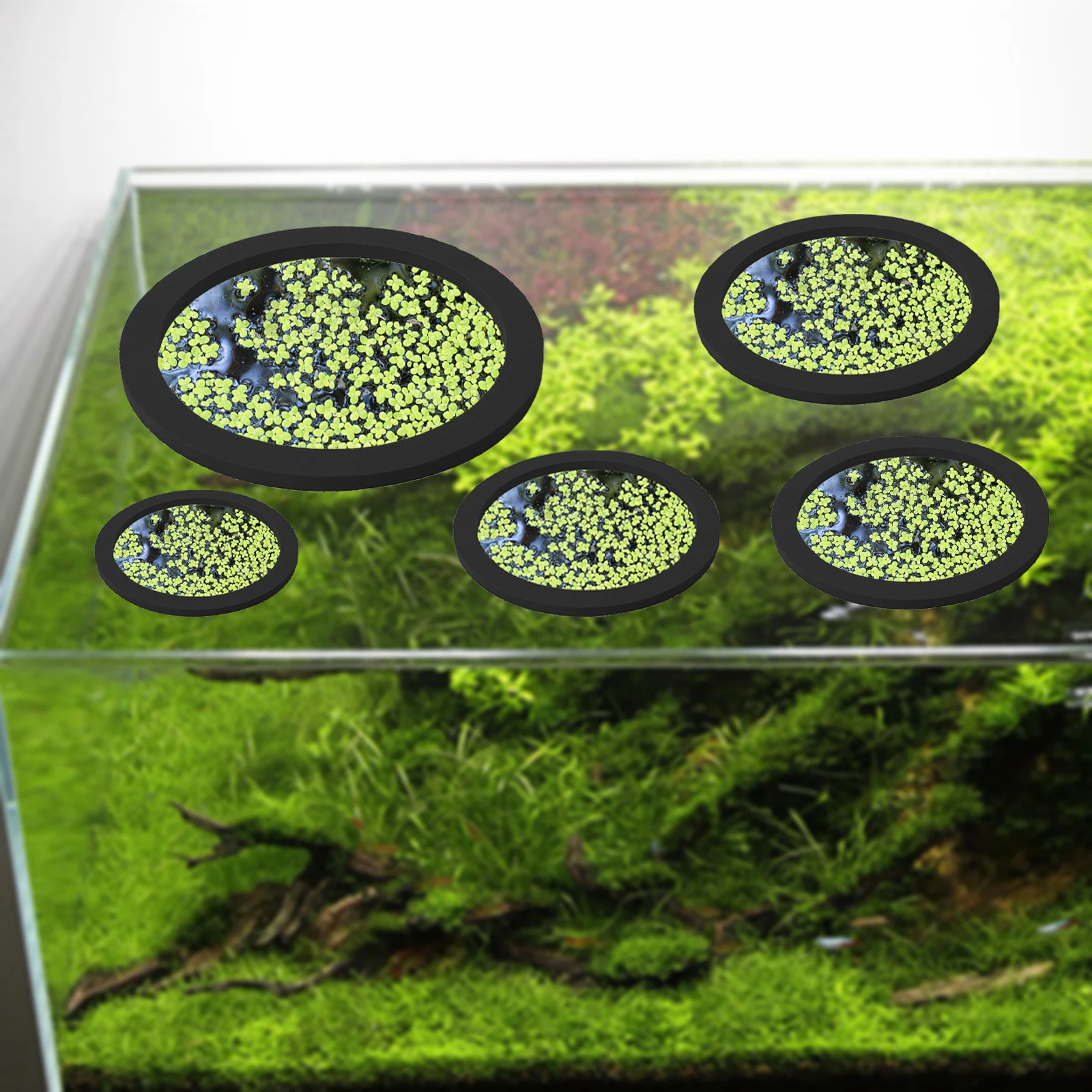 5 pçs eva anel de alimentação  - Ocean Aquarium avaliação e preço