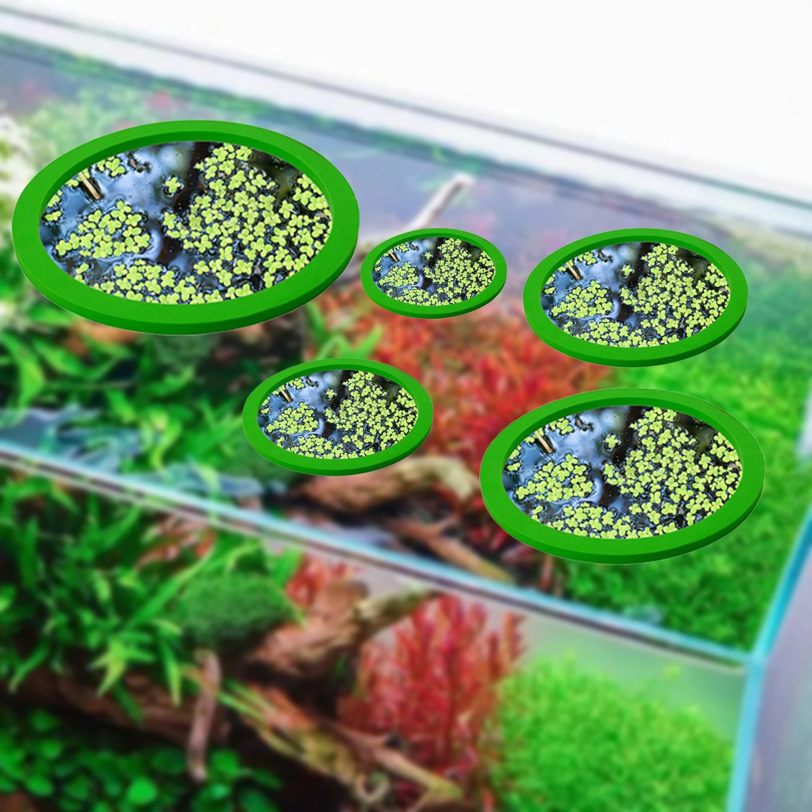 5 pçs eva anel de alimentação  - Ocean Aquarium avaliação e preço