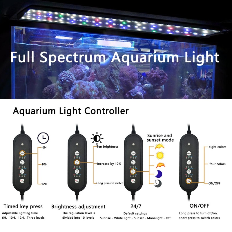 Luz LED para Aquário de Peixes - Reef Lighting avaliação e preço