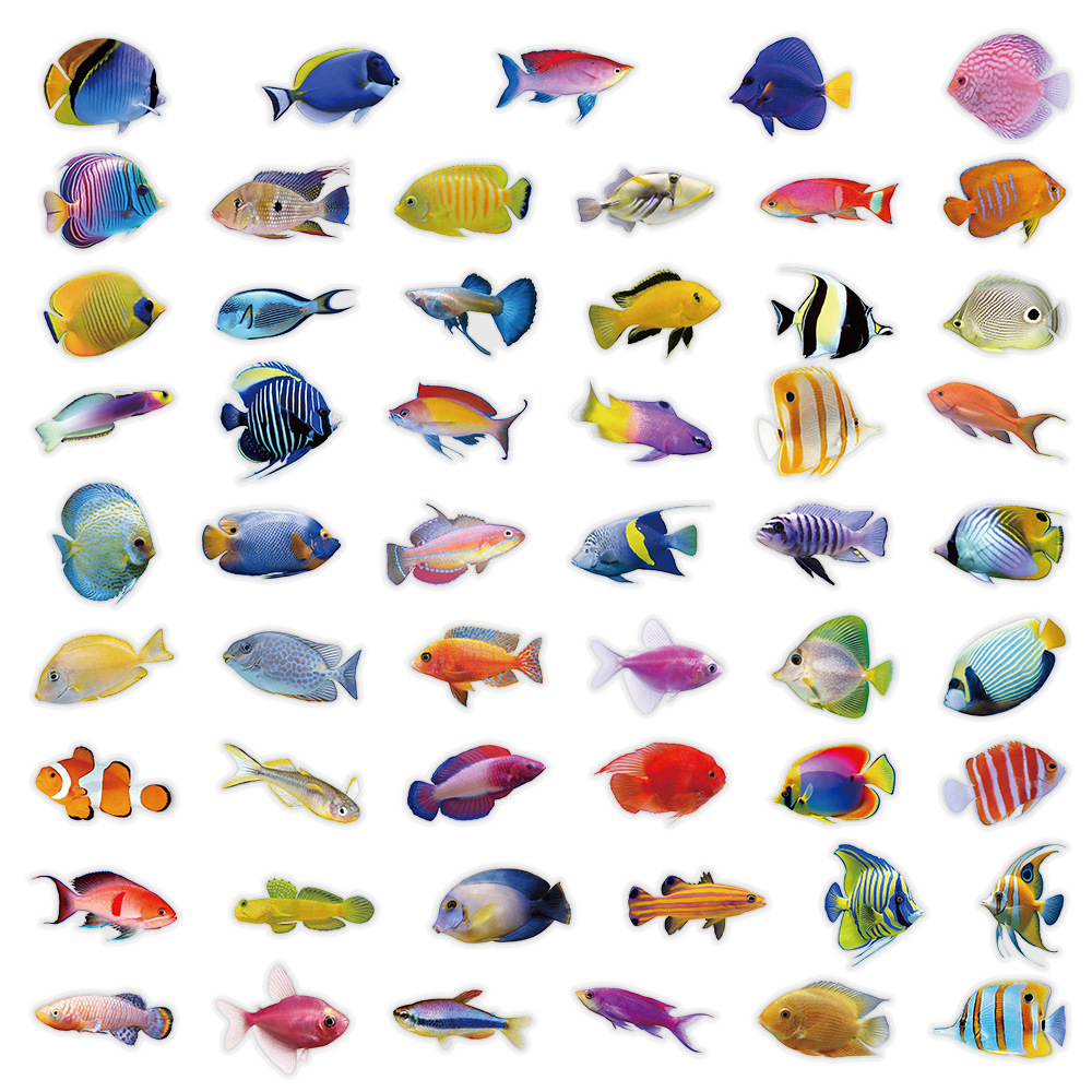50-100PCS Adesivos Transparent - Marine Coral avaliação e preço