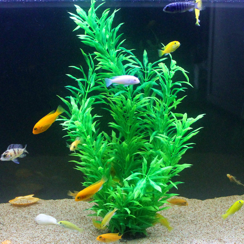Plantas Artificiais Raras para - Ocean Aquarium avaliação e preço