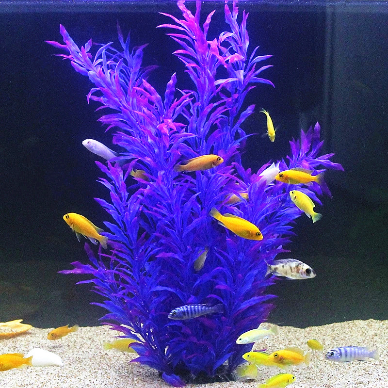 Plantas Artificiais Raras para - Ocean Aquarium avaliação e preço