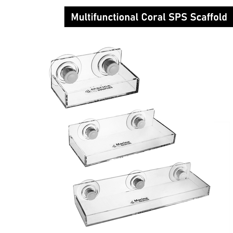 Fontes marinhas Multi-funciona - Marine Coral avaliação e preço