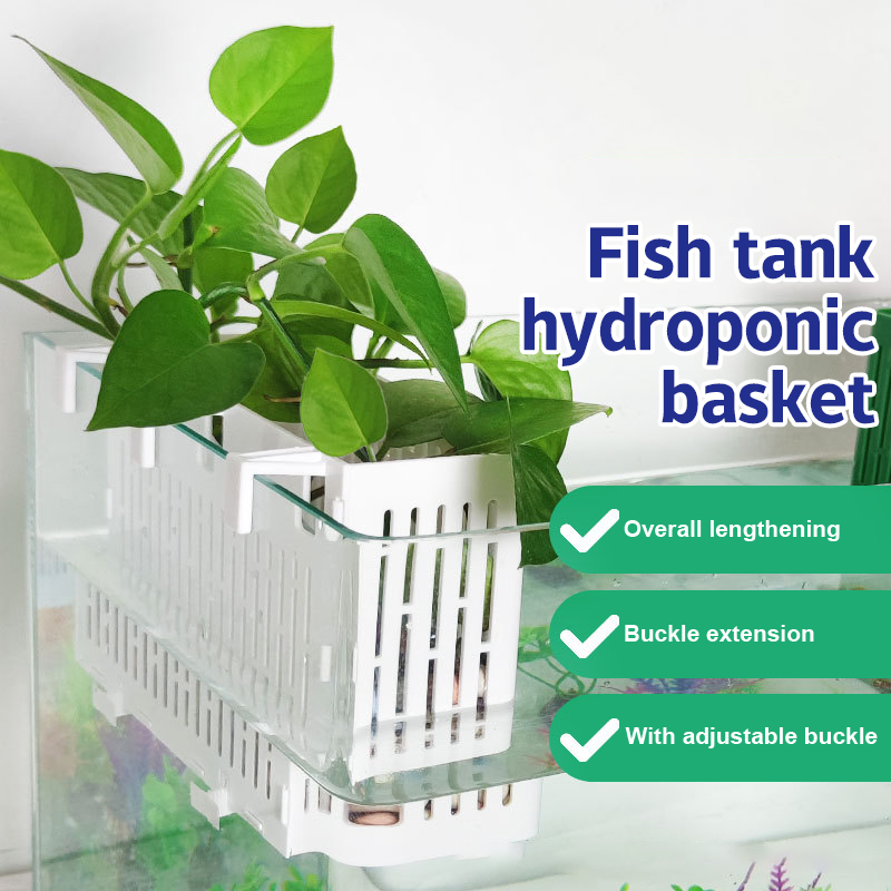 【F】Suporte Suspenso para Plant - Marine Aquarium avaliação e preço