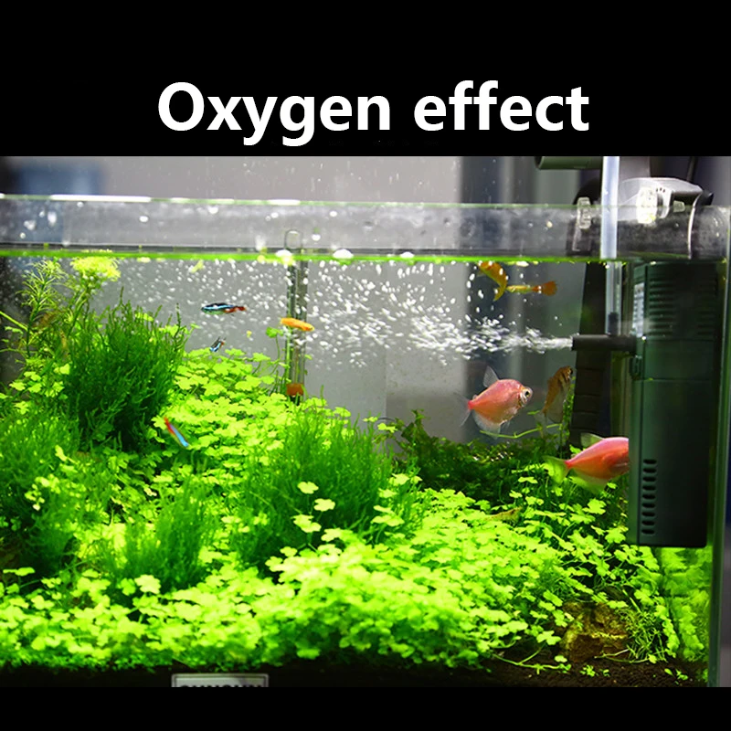 Sunsun-Mini Nano bomba interna - Reef Tank Filter avaliação e preço